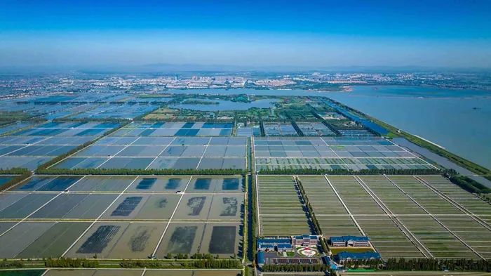 航拍高淳固城湖螃蟹核心區(qū)。高淳區(qū)融媒體中心供圖